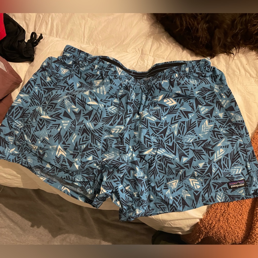 Patagonia L board shorts